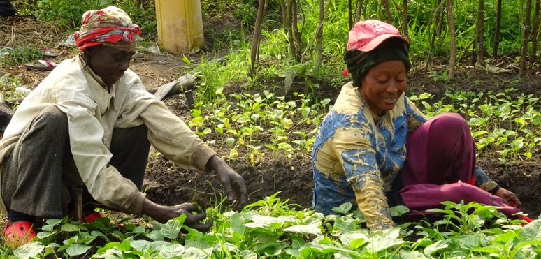 ESSOR nominée pour le Prix du Public des Women’s Awards 2020 de la fondation RAJA