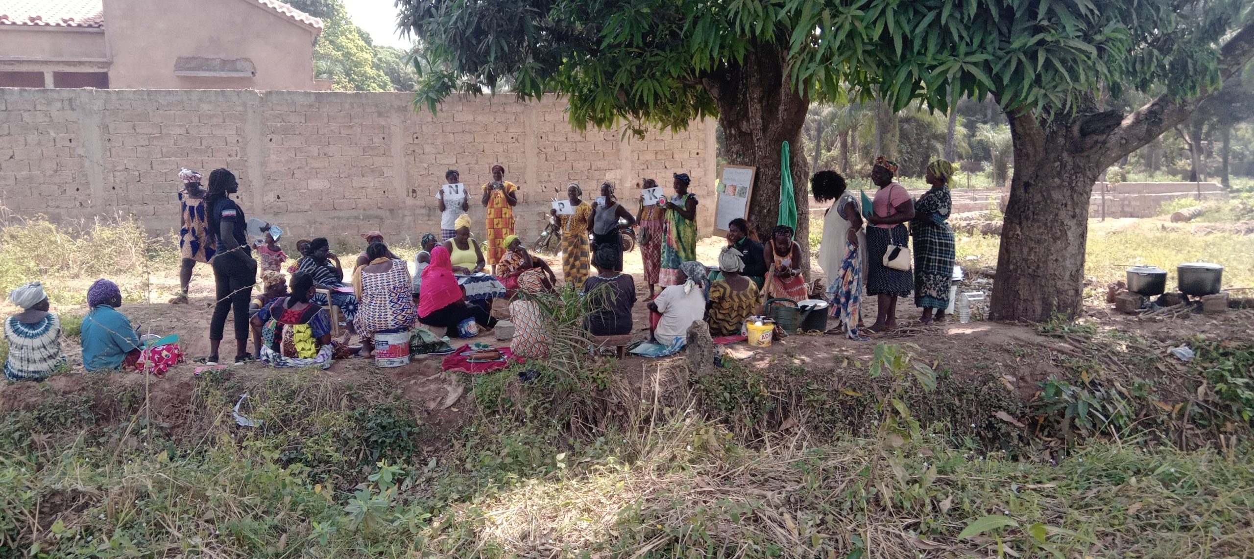 Des news du projet agricole « Ianda Hortas! » à Bissau.