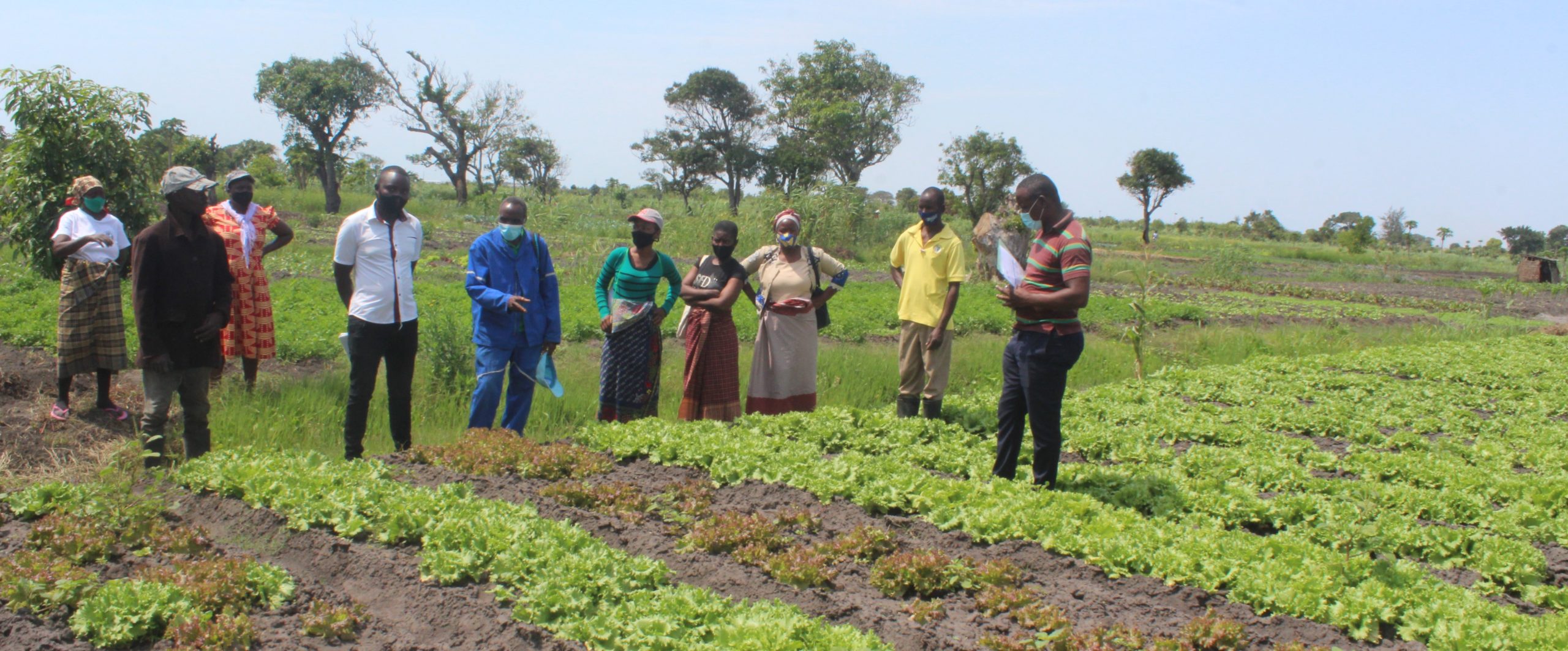 ABIODES reprend les activités agricoles au Mozambique.