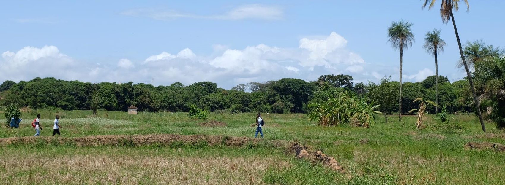 En Guinée-Bissau, proposer un accompagnement global des maraîchers.