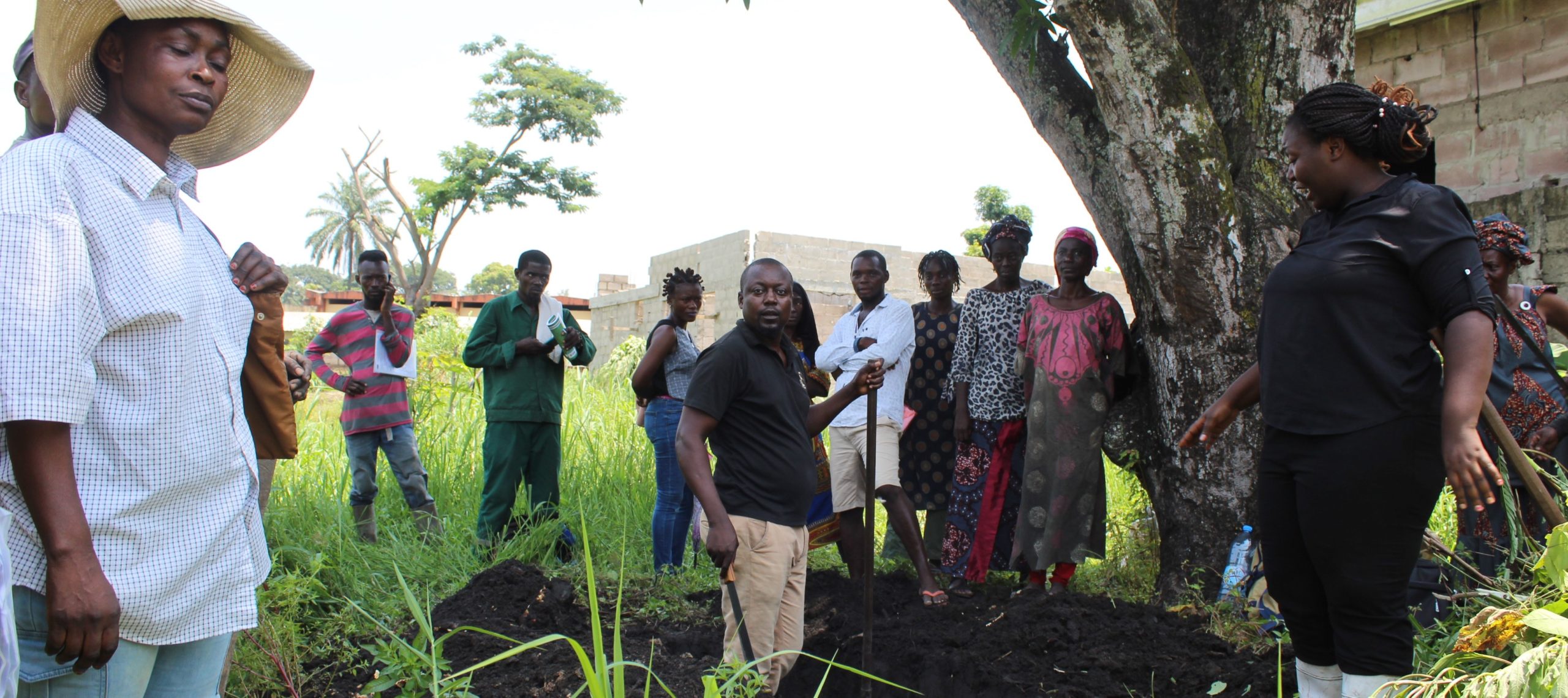 Formation, commercialisation, sensibilisation pour les maraîchers au Congo.