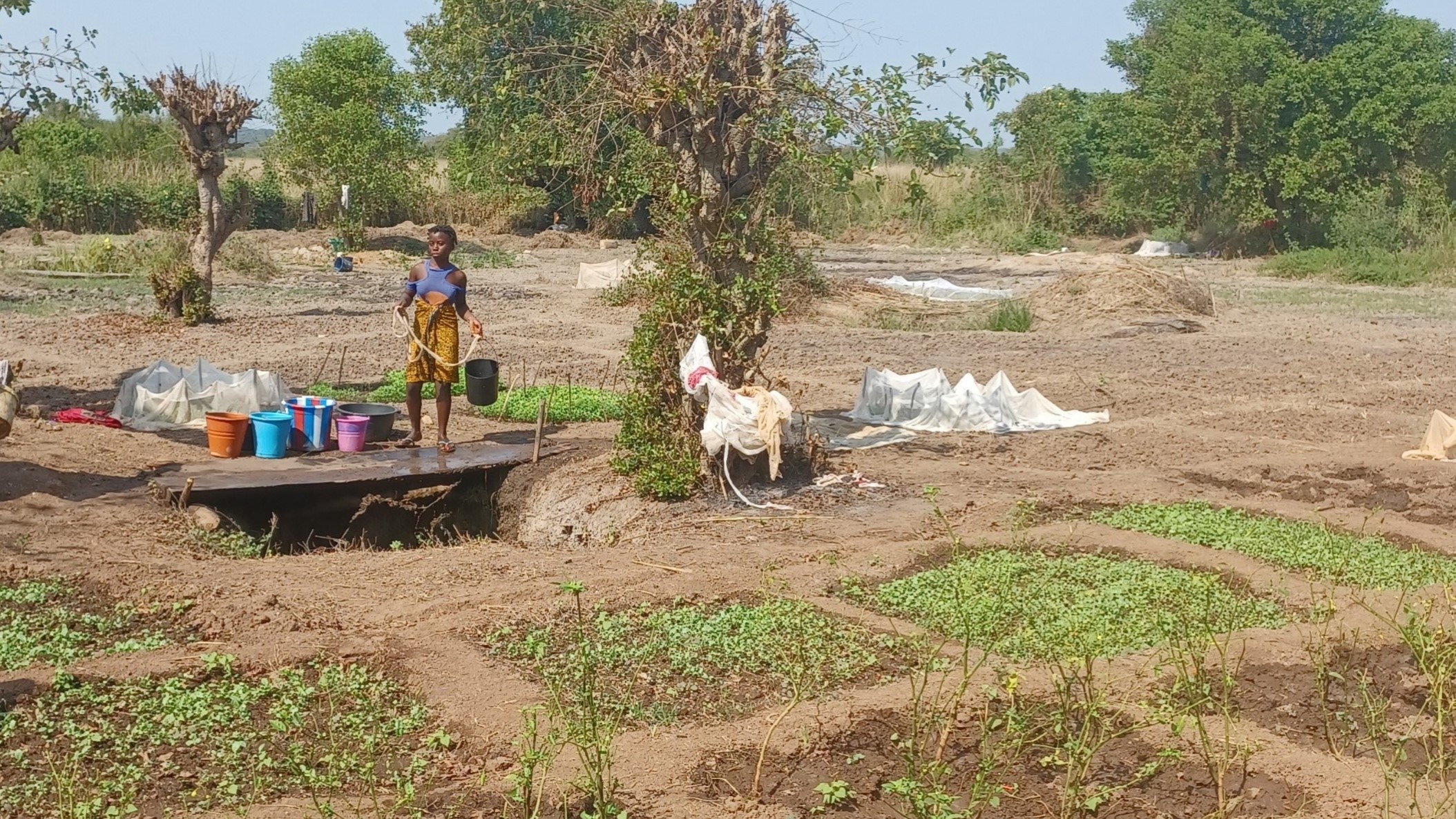 Diagnostic agraire à Bafatá, région de Guinée-Bissau.