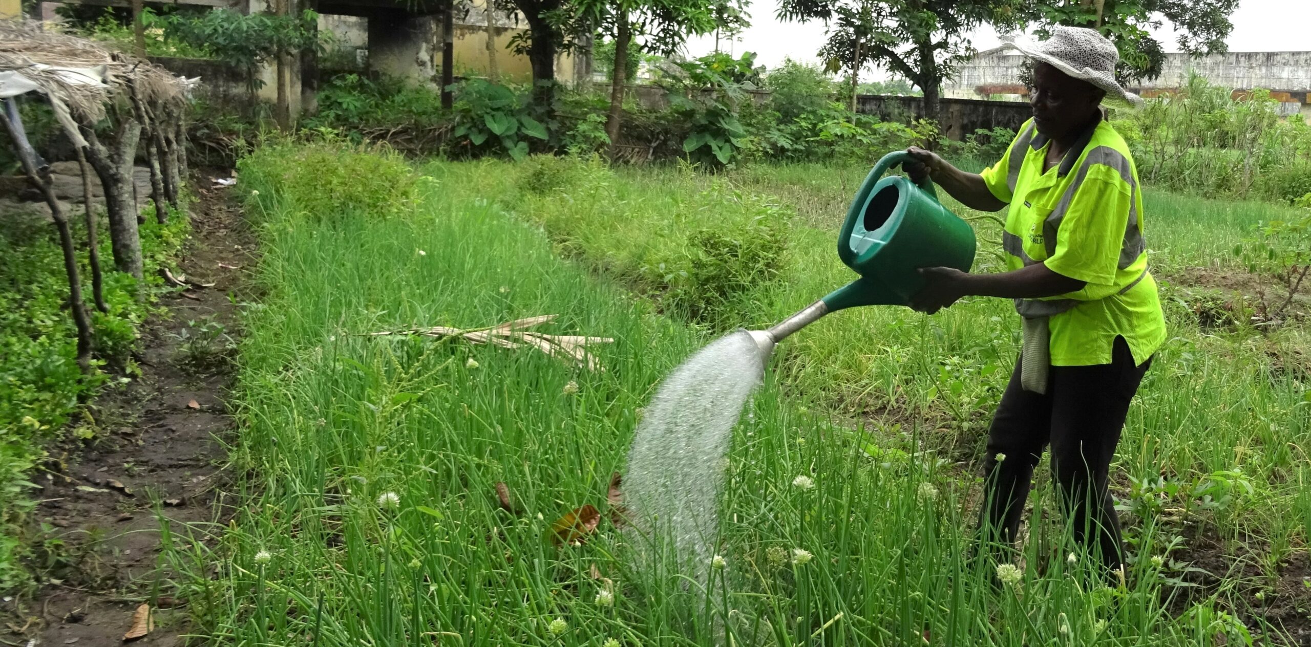 Pierrette est reconnue pour ses légumes agroécologiques au Congo.