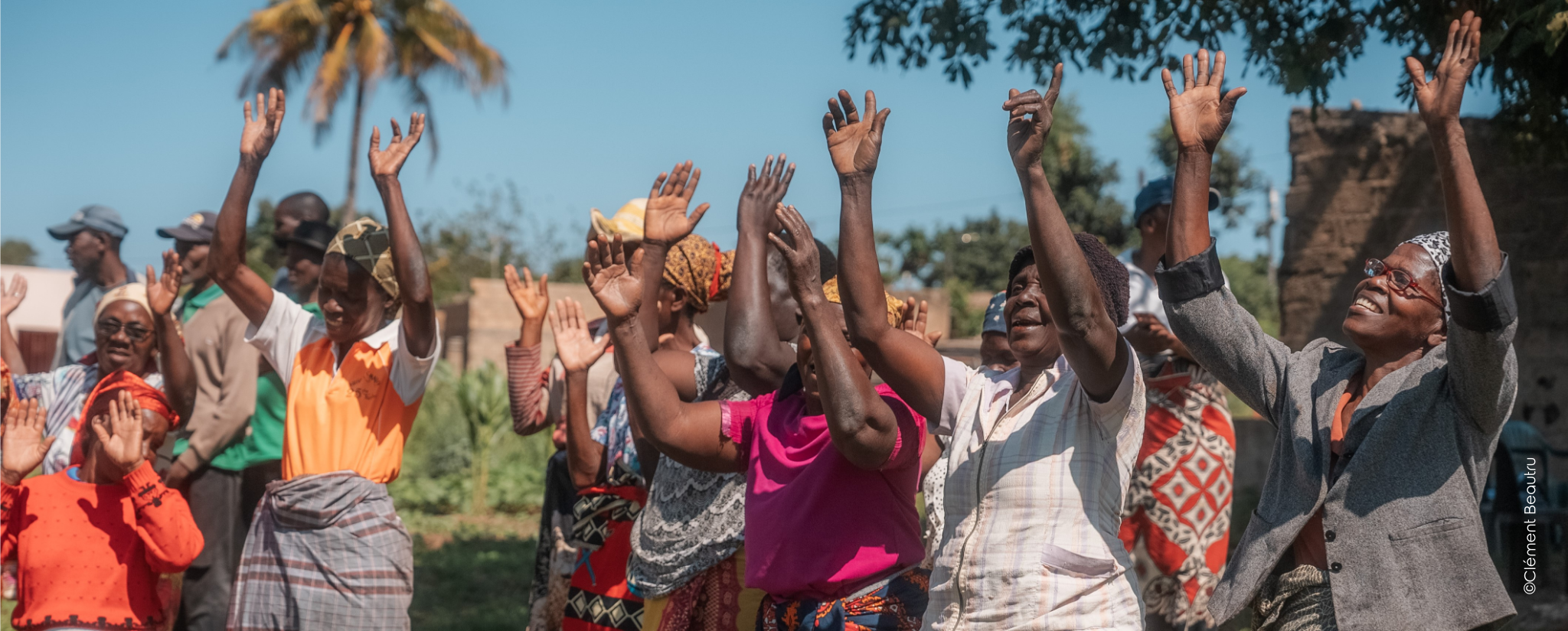 Desenvolvimento agrícola